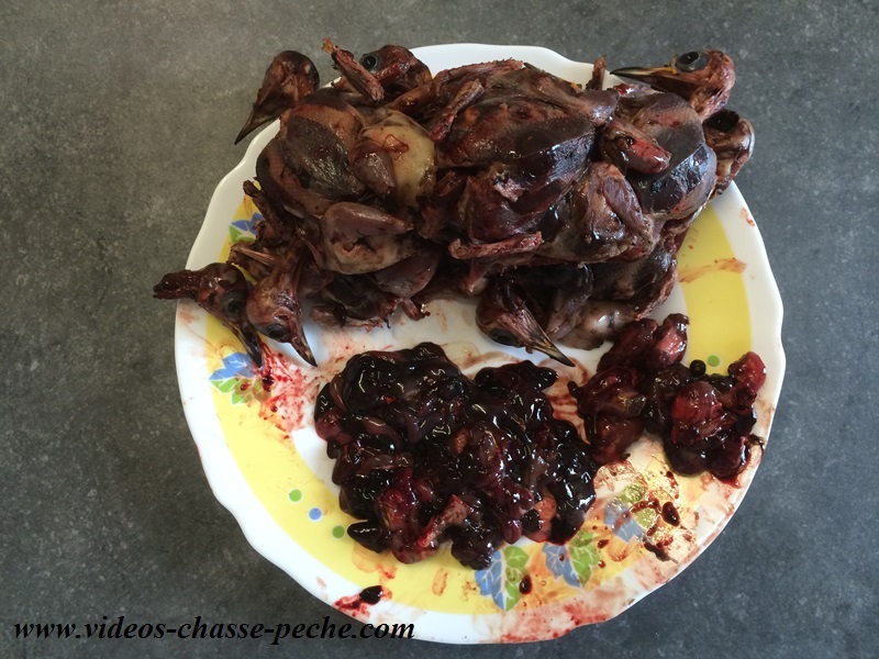 recette grive crapaudine recette grive crapaudine